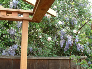 Berkeley Short Stays - Berkeley, California