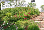 Oakland, California Bed and Breakfast: This charming suite in the Upper Rockridge neighborhood has a private entrance and a deck where guests can enjoy spectacular sunsets over the San Francisco Bay. This delightful oasis is strategically located in Oakland's most popular shopping and dining areas.