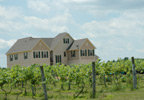 Madison, Indiana (IN) Bed & Breakfast: Four large guest rooms, with private baths, overlook acres of vibrant wine-grape vineyards. A huge patio offers a quiet place to read something from the guest library or just relax as the sun sets. Each room features satellite TV, a Restonic pillow mattress with luxurious bedding, and comfortable seating. A full breakfast is served. International wine tastings in the private wine cellar are offered on select dates.