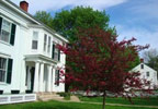 Sh! Sh! Sh! Don't tell anyone about The Alden House Bed & Breakfast (as seen on the Oprah Winfrey Show); located in Belfast, Maine, the jewel of mid-coast towns (recently ranked among the top 5 culturally cool small towns in the U.S. by USA, Today). 