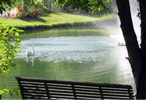 Pond at Martha's Vineyard