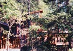 Merlin, Oregon Bed and Breakfast: The Rogue Forest Bed & Breakfast property sits on a steep forested canyon overlooking the Rogue River in Galice, Oregon. The bed and breakfast features luxurious king-size beds, private baths, romantic fireplaces, hearty cuisine, excellent beer and wine, and plenty of space to get back to the important things in life.