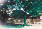 Mercer, Pennsylvania (PA) Bed & Breakfast: Relax where it's unique and scenic. Healthy coffees and coconut teas, bikes and canoes. Nearby paved trails, fishing and boating. Quaint healthy food and gift shoppe. Cafe table on huge deck. Loft and Cathedral lit-up living room with delightful windows and fireplace. Christian satellite and videos. Heart swing. Scrumptious Breakfast.