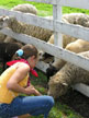 Weatherbury Farm Vacation is far from the madding crowd, nestled amid the serenity of 100+ acres of rolling farmland in southwestern Pennsylvania!