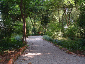 The woodlands at Retreat On Main