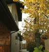 Hill City, South Dakota (SD) Bed & Breakfast: Currently we have two distinctive suites. Our log-accented suite, Bluma Madle, has a front sitting area which also supplies a log loft Bear Den for kids, while the master room has other welcoming amenities. The knotty pine cabin-style suite, lodges up to five guests. Both suites feature antique and unique furnishings, queen pillowtop beds, satellite HD/TV/DVD/VCR, cove heat and AC, plus ceiling fans.