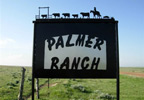 Faith, South Dakota (SD) Bed & Breakfast: Palmer Ranch House is a historical guest house, built in 1910 by homesteaders. We are a working cattle ranch on 5200 acres. The location is 18 miles west of Faith, 100 miles from the Black Hills, Deadwood, Sturgis, and Mt Rushmore. The Badlands and Devils Tower are within 150 miles.